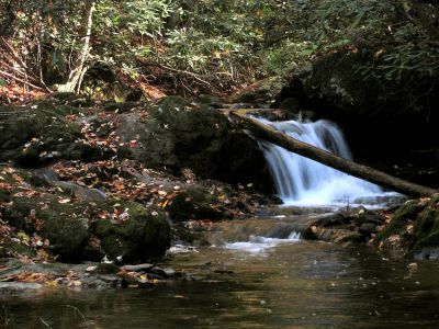 Cascades on Devil Fork Creek
Found below the lower Devil Fork Falls
photo by RAT 
10-17-2010

