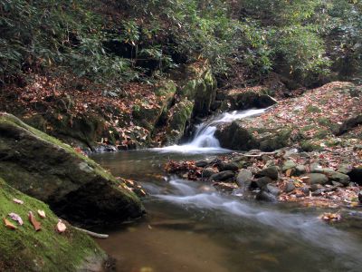 Cascades on Devil Fork Creek
Found below the lower Devil Fork Falls
photo by RAT 
10-17-2010
