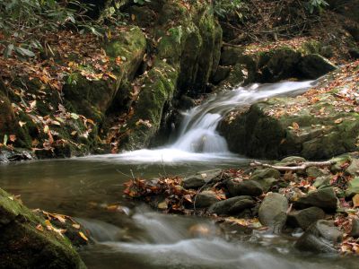 Cascades on Devil Fork Creek
Found below the lower Devil Fork Falls
photo by RAT 
10-17-2010
