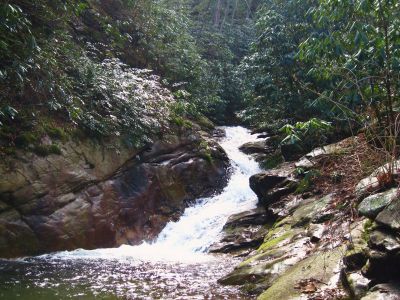 Cascades On Devils Creek
Lower Devils Creek,
2-6-2011
