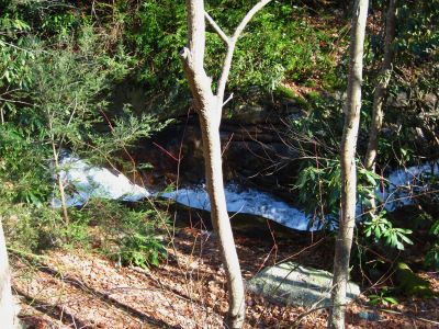 Cascades On Devils Creek
Lower Devils Creek,
2-6-2011

