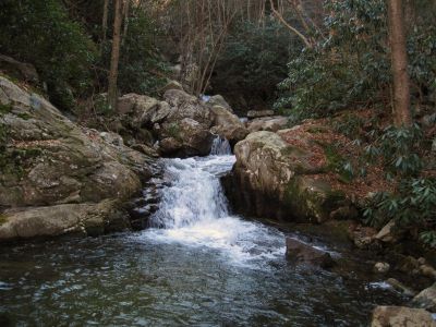 Cascades On Devils Creek
Lower Devils Creek,
2-6-2011
