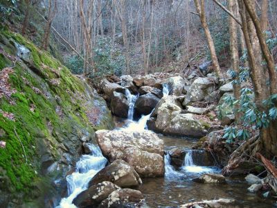 Cascades On Devils Creek
Lower Devils Creek,
2-6-2011
