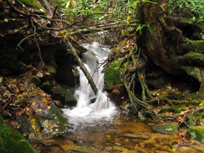 Oglesby Branch Cascades
10-26-2018

