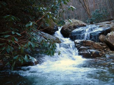 Cascades On Devils Creek
Lower Devils Creek,
2-6-2011
