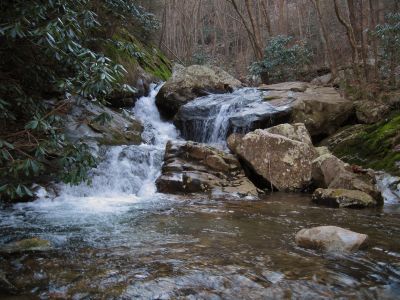 Cascades On Devils Creek
Lower Devils Creek,
2-6-2011

