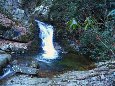 Waterfall
Lower set of the double-set of waterfalls.
Lower Devils Creek,
2-6-2011

