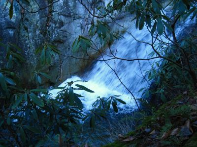 Deep Pool
Below the top set of waterfalls.
Lower Devils Creek,
2-6-2011
