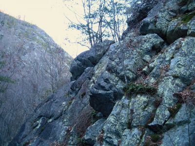 Rock Cliffs
Lower Devils Creek,
2-6-2011
