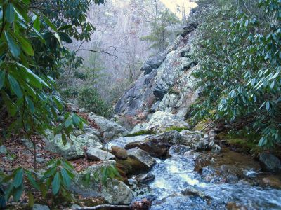 Devils Creek
View...Lower Devils Creek,
2-6-2011
