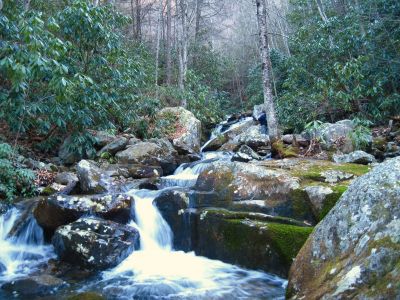 Cascades On Devils Creek
Lower Devils Creek,
2-6-2011
