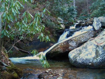 Cascades On Devils Creek
Lower Devils Creek,
2-6-2011
