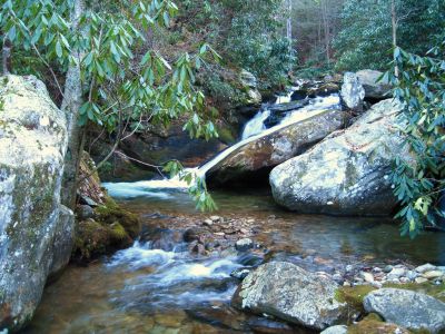 Cascades On Devils Creek
Lower Devils Creek,
2-6-2011
