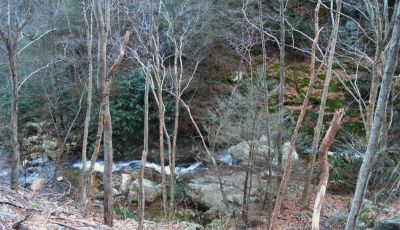 Cascades On Devils Creek
Lower Devils Creek,
2-6-2011
