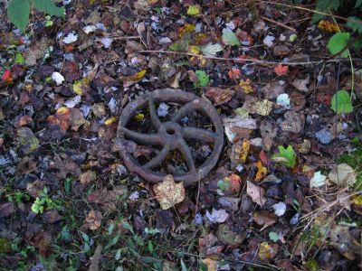 Metal Wheel
Mystery wheel in Lost Cove
10-30-2018
