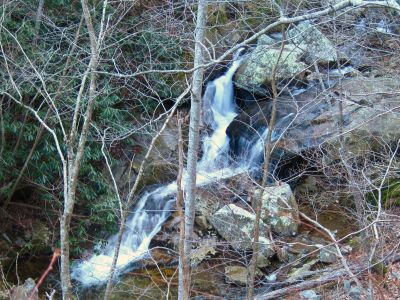 Cascades On Devils Creek
Lower Devils Creek,
2-6-2011
