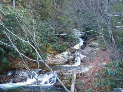 Cascades On Devils Creek
Lower Devils Creek,
2-6-2011
