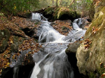  Upper Devil Fork Falls
...near Rocky Fork.
Photo by RAT
10-19-2010
