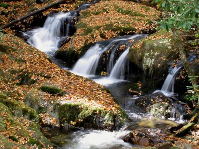 Rocky Fork Cascades
Photo by RAT
10-19-2010
