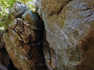 Geology
Strange rock formations on Buzzard Roost Ridge,
2-19-11
