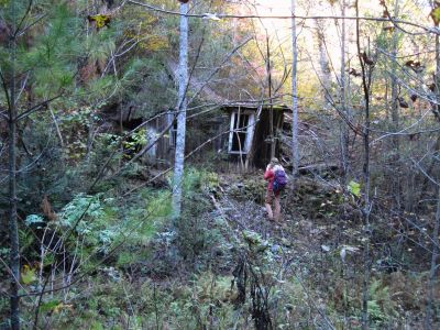 Old House
Dan-o checks out a dilapidated old house in Lost Cove
10-30-2018
