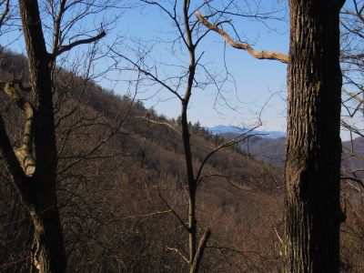 View From Buzzard Roost Ridge
Some of the view...
2-19-11
