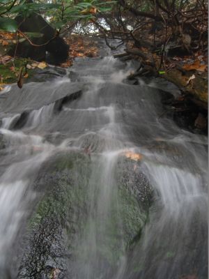 20' Slide
Trail to California Fields in the fog.
11-9-2018
