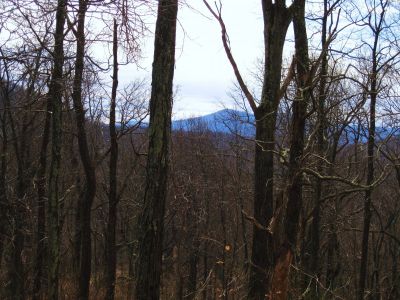 View From Spring Mountain
2-19-11
