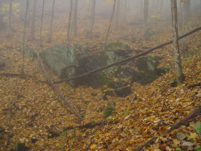 Rich Mountain
Trail to California Fields in the fog.
Interesting boulder...
11-9-2018
