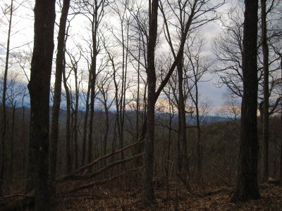 View From Spring Mountain
2-19-11
