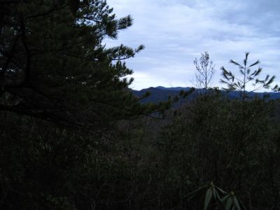 View From Buzzard Roost Ridge
2-19-11
