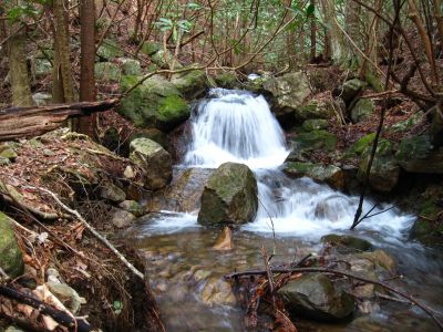 Waterfall On Sampson Mountain
'Even Smaller Falls'
2-26-2011
