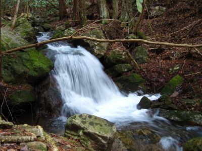 Waterfall On Sampson Mountain
2-26-2011
