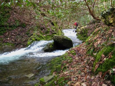 Fireball
Crossing creek on the way to Buckeye Falls,
2-26-2011
