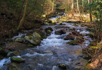 Buckeye Falls Trail
Clarks Creek,
2-26-2011

