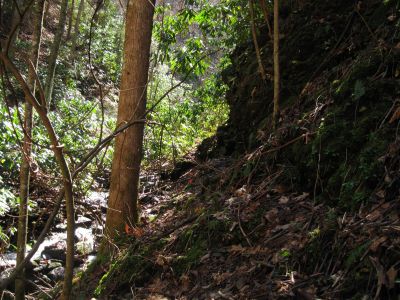 Buckeye Falls Trail
rock strata cliffs to climb around while ascending the valley to the falls,
2-26-2011
