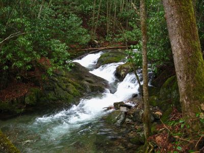 Triple Cascades On Rocky Fork
3-5-11
