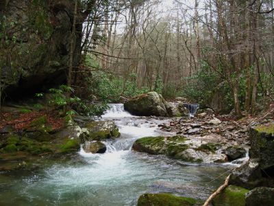 Cascades On Rocky Fork
below cliffs...
3-5-11
