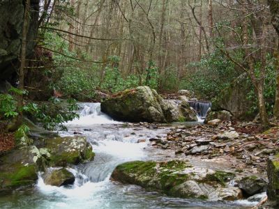 Cascades On Rocky Fork
below cliffs...
3-5-11
