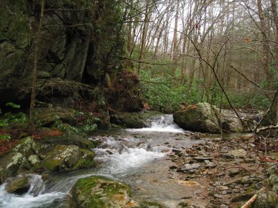 Cascades On Rocky Fork
Below the Flint Mountain Cliffs,
3-5-11
