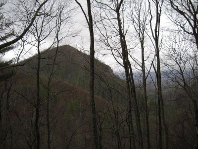 Whitehouse Mountain
as seen from the 'high road' on the Rocky Fork Trail, 
3-5-11
