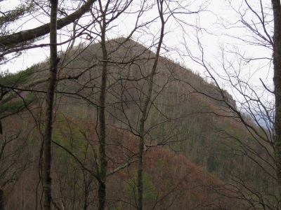 Profile of Whitehouse Mountain Cliffs
as seen from the 'high road' on the Rocky Fork Trail, 
3-5-11
