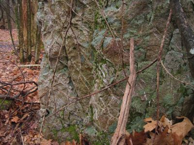 Geology
interesting streaked boulder at the gap between Wilson Knob and Frozen Knob on Rich Mountain,
3-5-2011

