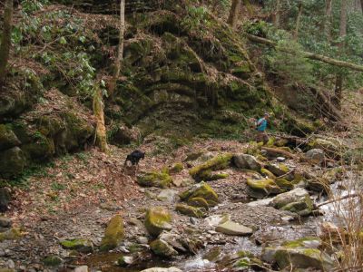 Rock Strata
Dave and Rumo,
Buckeye Falls Trail,
3-22-2014
