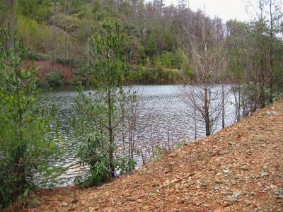 Pond On Higgins Ridge
3-5-2011
