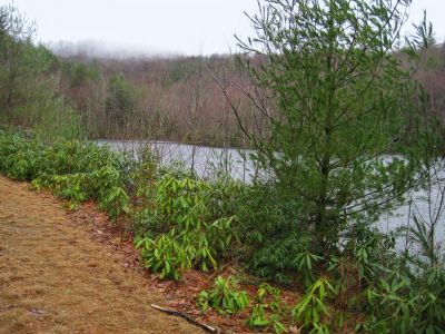 Pond On Higgins Ridge
3-5-2011
