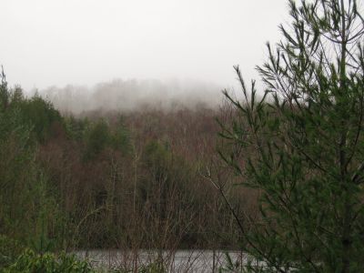 Higgins Ridge
Thick clouds in the trees above the pond.
3-5-2011
