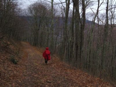 'Fireball'
descending the 'high road' of the Rocky Fork Trail.
3-5-2011
