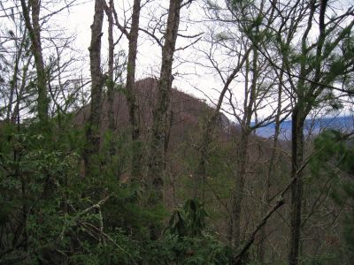 Whitehouse Mountain
...as seen from the 'high road' of the Rocky Fork Trail.
3-5-2011
