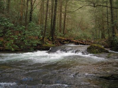 Clarks Creek
3-11-11
